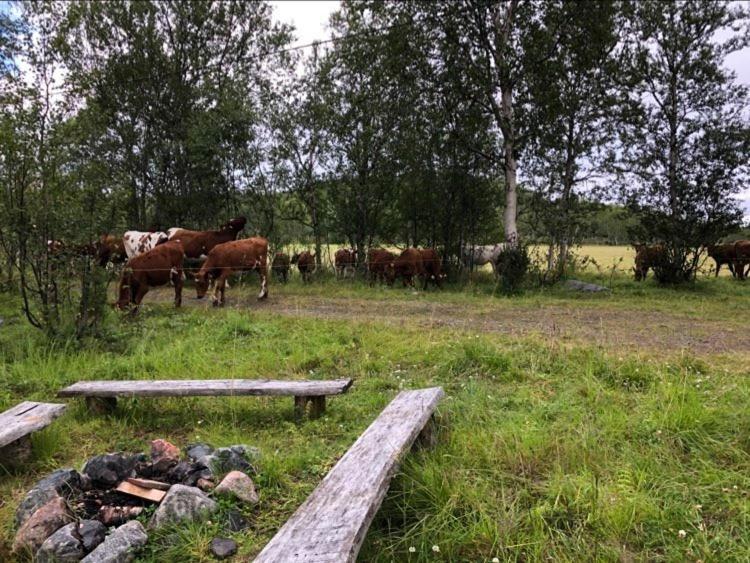 Kulpmo Gard Jarfjord-Kirkenes Βίλα Εξωτερικό φωτογραφία